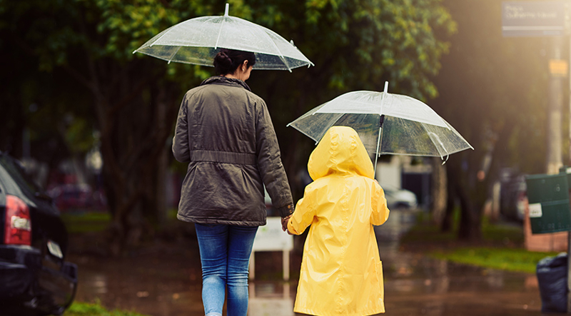 Hurricane Helene Relief for Taxpayers at the State and Local Level