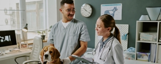 Don't Let December Drive Your Tax Strategy: Why Veterinary Practice Owners Should Start Year-End Planning in October