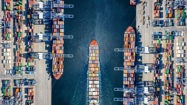 Ships unloading cargo in major US trade hub